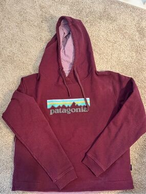 Patagonia Sweatshirt Size M